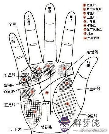 2、男人手相圖解大全:手紋圖解