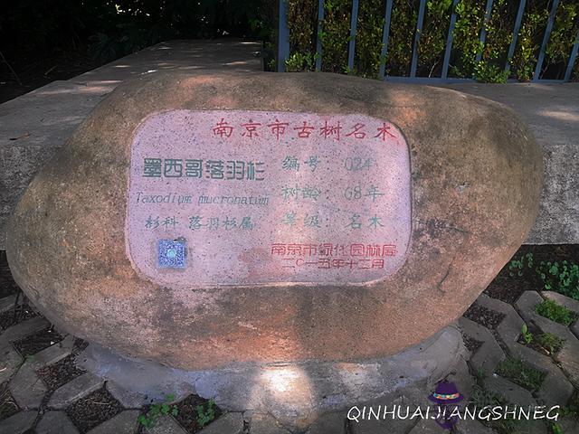 南京八字山碉堡