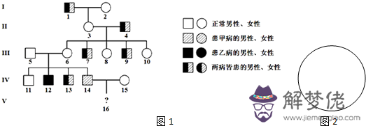 4、基因型為YyRr與yyRr的植物的遺傳圖解怎麼畫 麻煩畫出圖解 謝謝哩