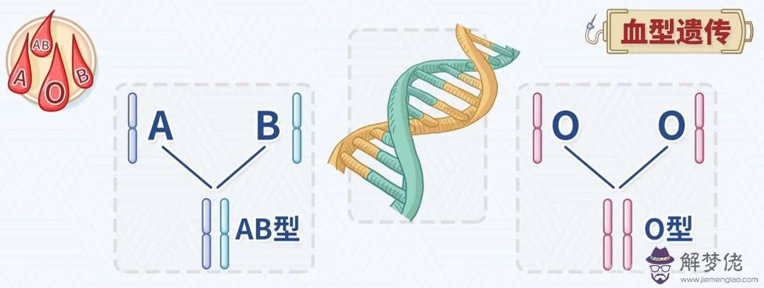 新冠病毒無法和O型血結合，新冠肺炎血型感染比例