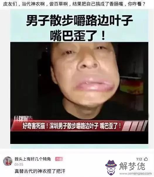 有算命的說我是小龍女是什麼意思