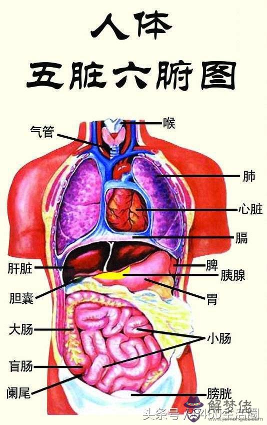 七字和八字成語有哪些