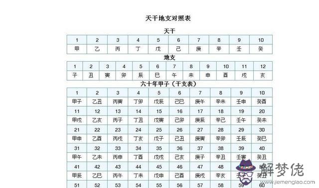 八字天干地支含義