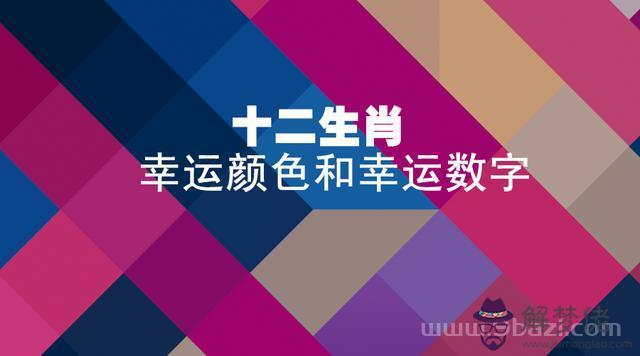 屬狗的人的幸運數字，1970年屬狗的吉祥數字