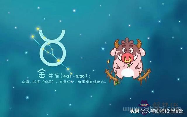 風象星座怎麼查詢，風向星座查詢表