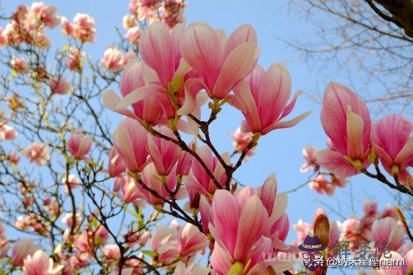 天蝎男遇見天蝎女會怎樣，當天蝎男愛上天蝎女