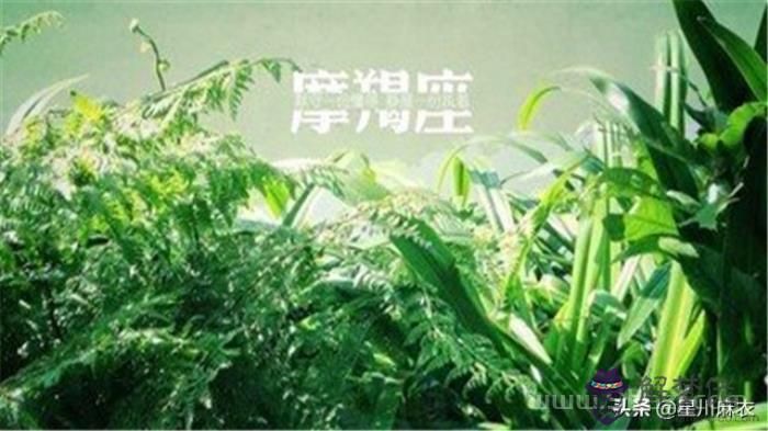 摩羯座女生的性格脾氣特點，摩羯座女生最可怕性格