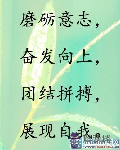 軍隊口號霸氣押韻八字