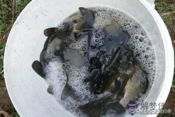 八字環怎麼綁單鉤魚線