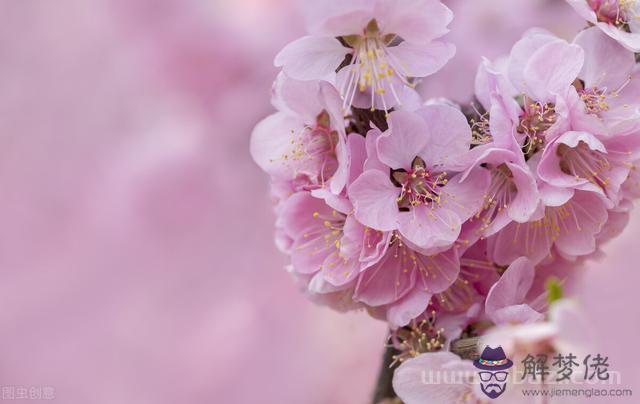 摩羯座今年桃花運勢，摩羯座今年愛情運勢