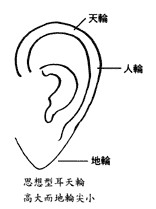 耳朵面相算命圖解