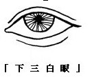 眼神、眼形、眼部面相圖解