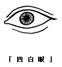 眼神、眼形、眼部面相圖解