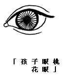 眼神、眼形、眼部面相圖解