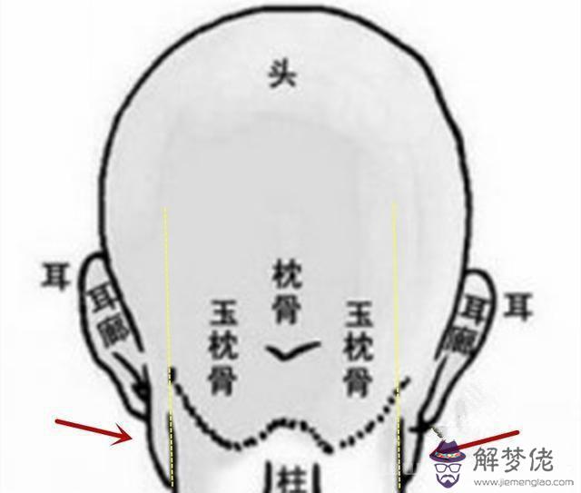 “頭無異骨，難成貴相”！