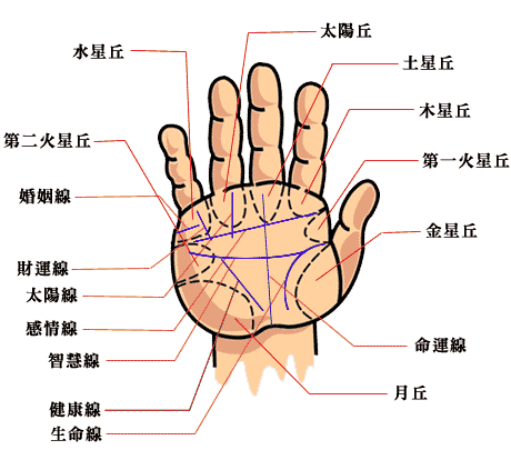 手相中手掌紋各代表什麼意義？