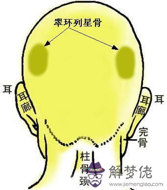 骨相中幾種貴人命格