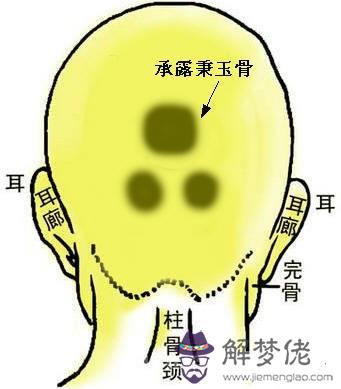 骨相中幾種貴人命格