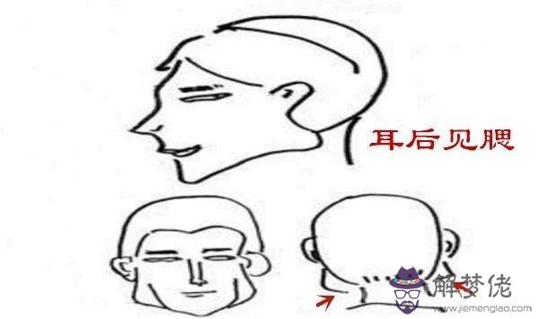 骨相大全：腦后有反骨是什麼意思？