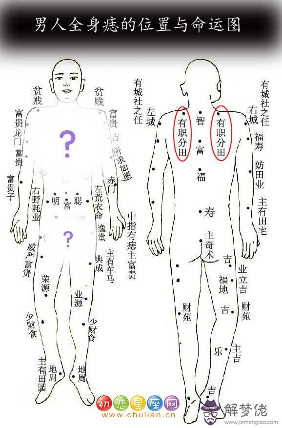 有職分田痣