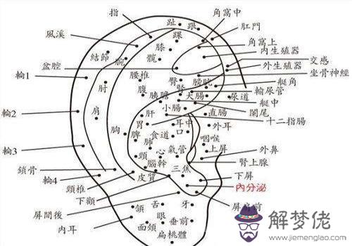 耳朵有痣的女人命運圖解 從痣相看女性命運