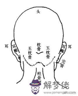 頭后有反骨是什麼命相,頭骨相識命運