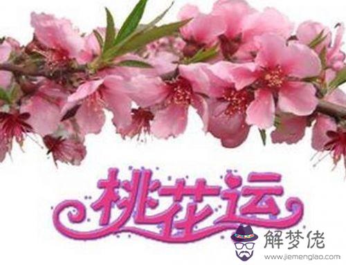 八字什麼是桃花運