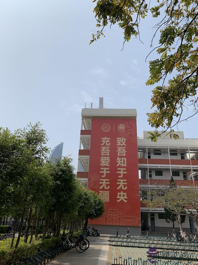 廈門批八字