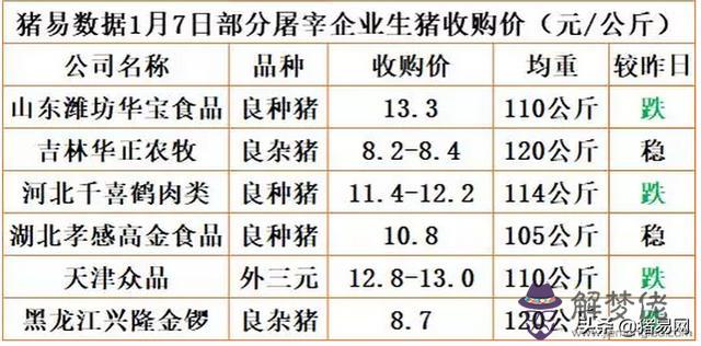 南方批八字1.7