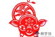 2019本命年要注意什麽