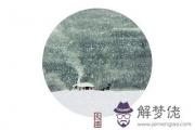 生肖屬兔的人大雪節氣出生命運好不好？