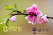 2017年桃花正旺愛情火熱的3大生肖