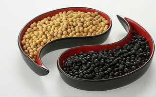 做電商公司名字大全 企業起興盛招財的名字