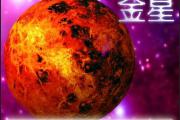 金星十二星座分析