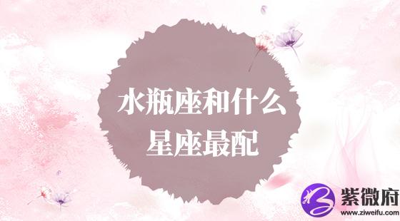 水瓶座和什么星座最配？