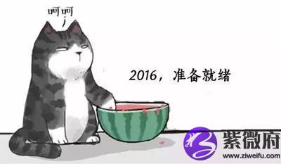 星座2016