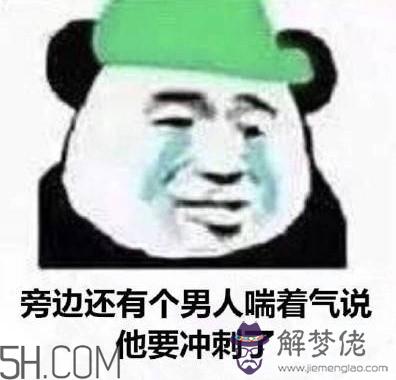 做頭發表情包 我去做頭發了綠帽表情包