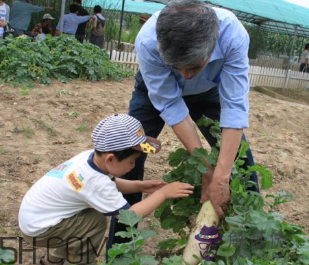 秋后拔蘿卜再硬也要碰是什麼意思？