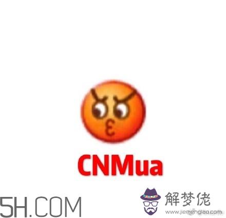 cnmua是什麼意思？cnmua無水印表情包