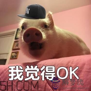 ojbk是什麼意思？ojbk表情包