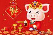 土豬是哪些年份 今年2019年是土豬年