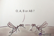 什麼血型招蚊子 蚊子最喜歡“有味道”的人