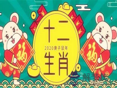 2020年生肖運勢排名