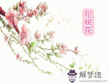 容易犯桃花的生肖