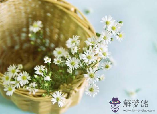 2020鼠年生肖屬牛和生肖屬雞適合結婚嗎，會相合嗎