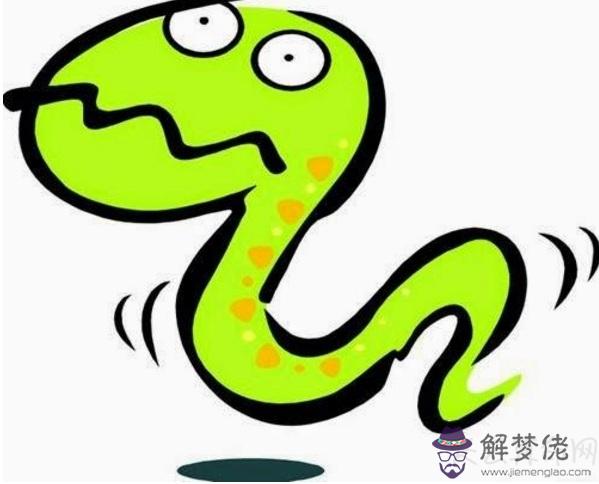 不同蛇年出生的人是什麼蛇  不同蛇年出生人的命運