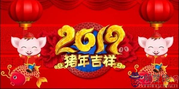 今年是金豬年嗎   2019年不是金豬年而是土豬年