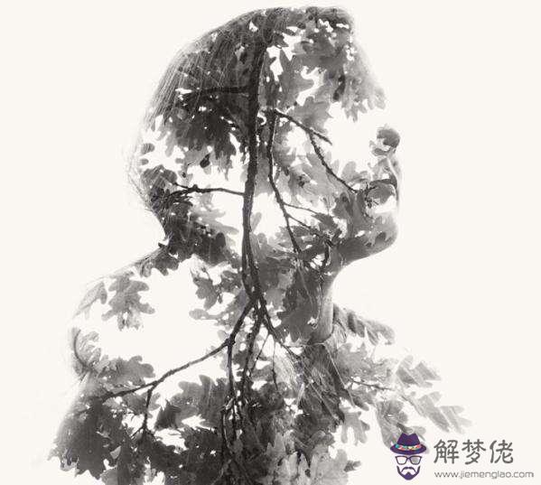 屬龍的玻璃心排行榜，男女玻璃心程度相差大