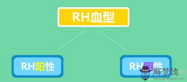 rh血型陽性是什麼意思  血型定性為rh陽性就是正常血型