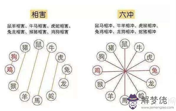 生肖配婚有什麼注意事項   生肖婚配不能夠相沖、相害、相刑